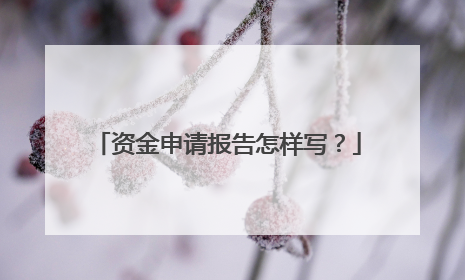 资金申请报告怎样写?