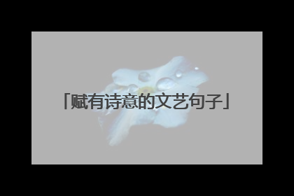 赋有诗意的文艺句子
