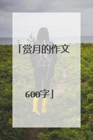 赏月的作文600字