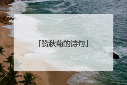 赞秋菊的诗句