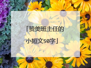 赞美班主任的小短文50字