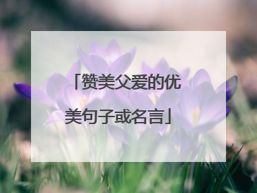 赞美父爱的优美句子或名言