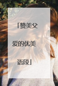 赞美父爱的优美语段