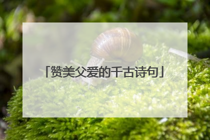 赞美父爱的千古诗句