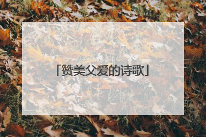 赞美父爱的诗歌