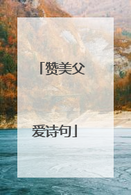 赞美父爱诗句