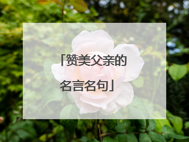 赞美父亲的名言名句