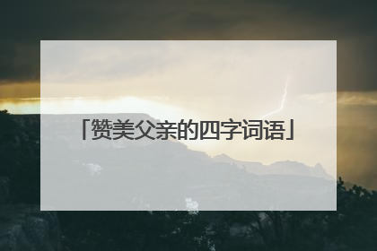 赞美父亲的四字词语