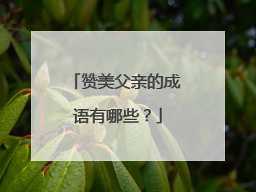 赞美父亲的成语有哪些?