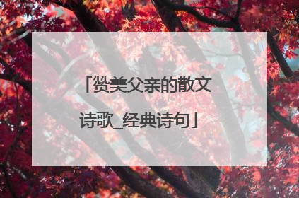 赞美父亲的散文诗歌_经典诗句