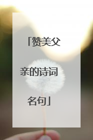 赞美父亲的诗词名句