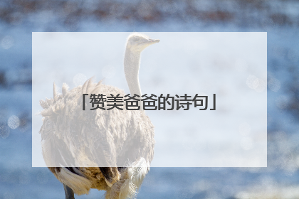 赞美爸爸的诗句
