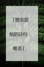 赞美爱情的诗句唯美