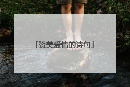 赞美爱情的诗句