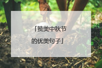 赞美中秋节的优美句子