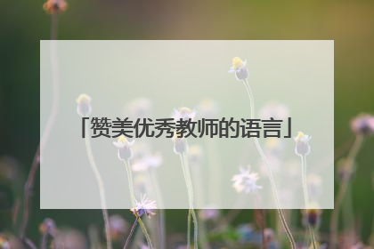 赞美优秀教师的语言
