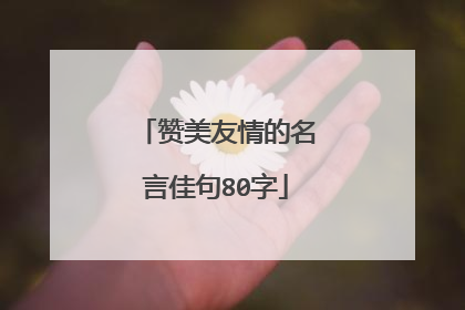 赞美友情的名言佳句80字