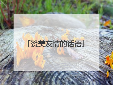 赞美友情的话语