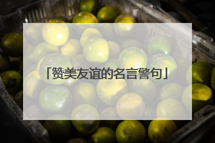 赞美友谊的名言警句