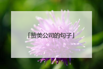 赞美公司的句子