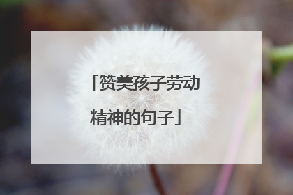 赞美孩子劳动精神的句子