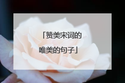 赞美宋词的唯美的句子