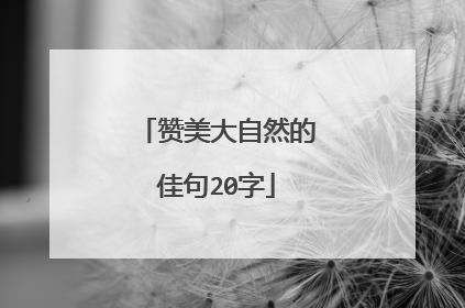 赞美大自然的佳句20字