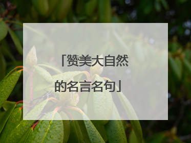 赞美大自然的名言名句