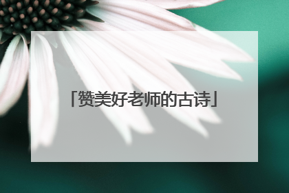 赞美好老师的古诗