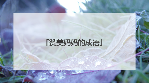 赞美妈妈的成语