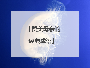 赞美母亲的经典成语