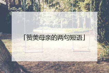 赞美母亲的两句短语