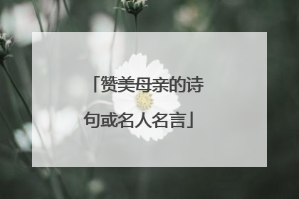 赞美母亲的诗句或名人名言