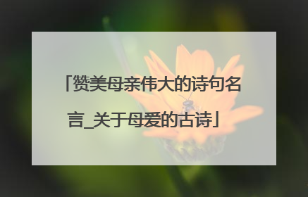 赞美母亲伟大的诗句名言_关于母爱的古诗