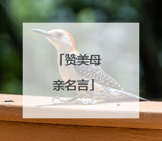 赞美母亲名言