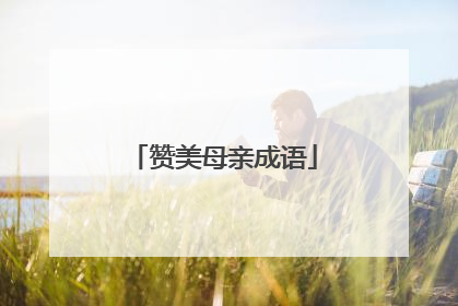 赞美母亲成语