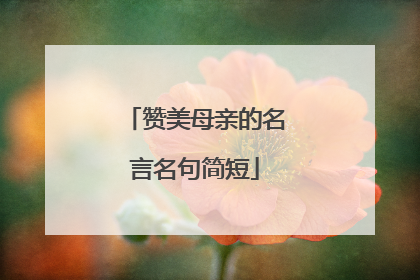 赞美母亲的名言名句简短