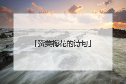 赞美梅花的诗句