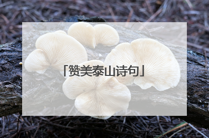 赞美泰山诗句