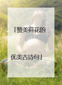赞美荷花的优美古诗句