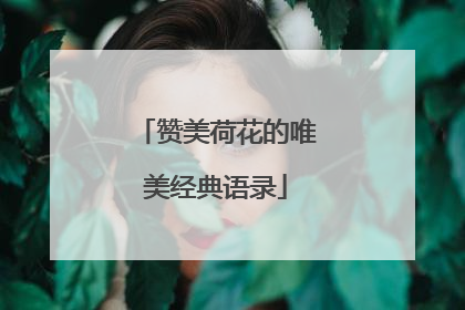 赞美荷花的唯美经典语录