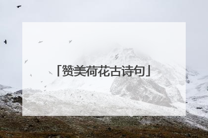 赞美荷花古诗句