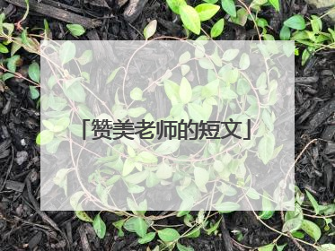 赞美老师的短文