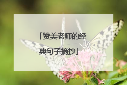赞美老师的经典句子摘抄