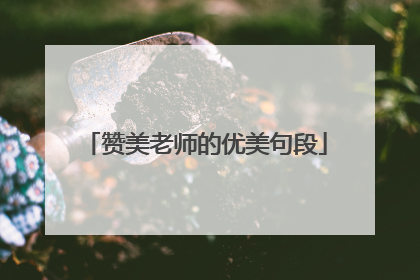赞美老师的优美句段