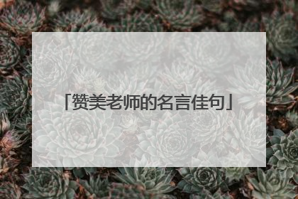 赞美老师的名言佳句