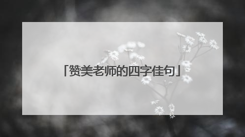 赞美老师的四字佳句