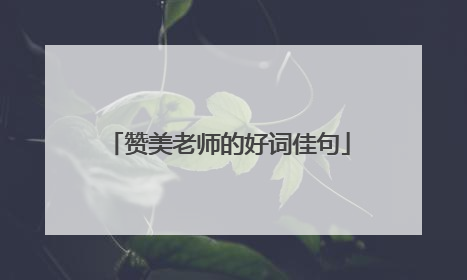 赞美老师的好词佳句