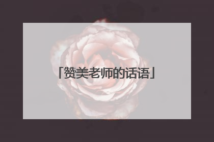 赞美老师的话语