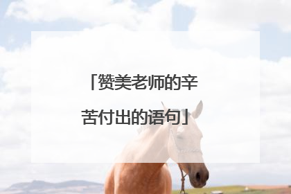 赞美老师的辛苦付出的语句